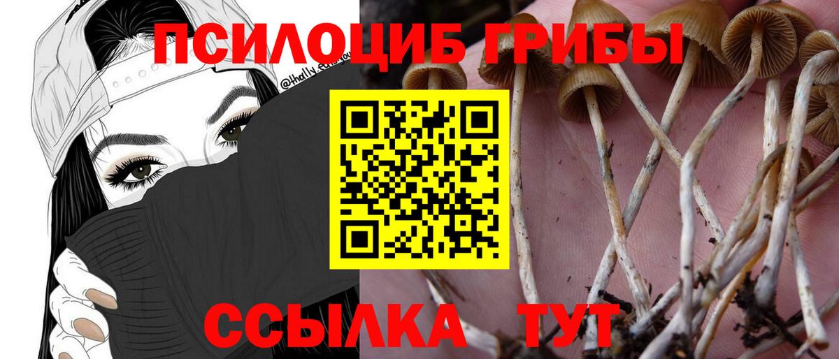 Галлюциногенные грибы мицелий Прохладный
