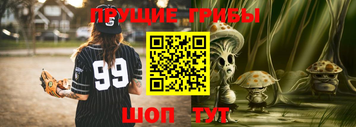 Прохладный  Псилоцибиновые грибы Magic Shrooms  Вход с VPN 